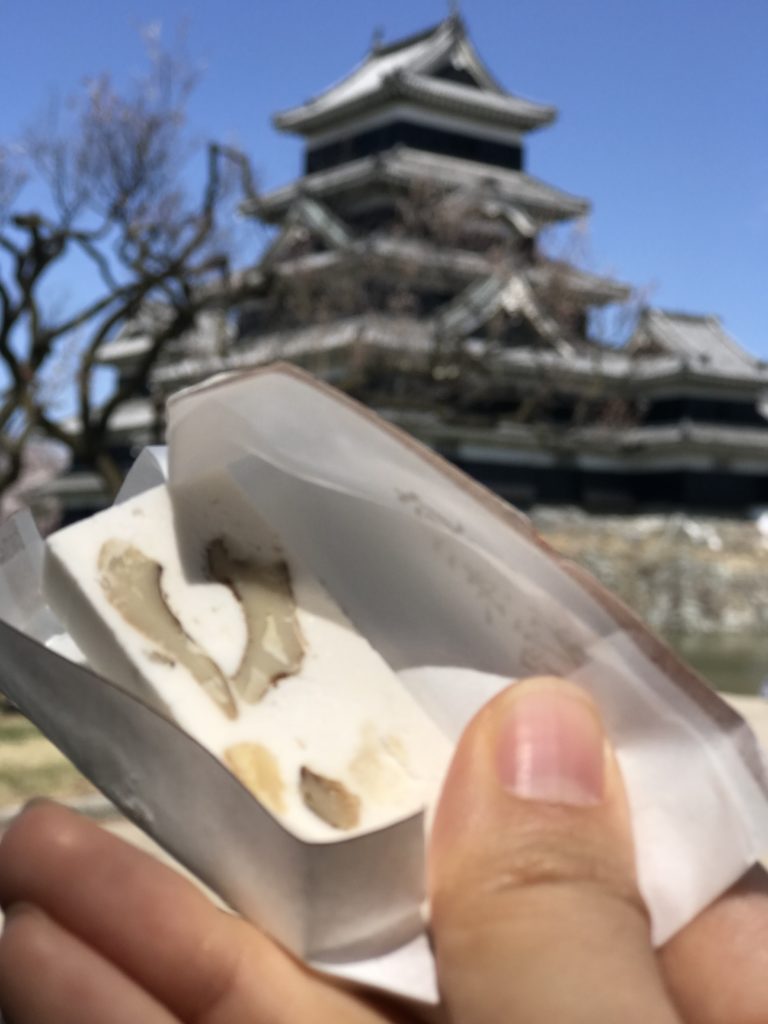 松本城 桜