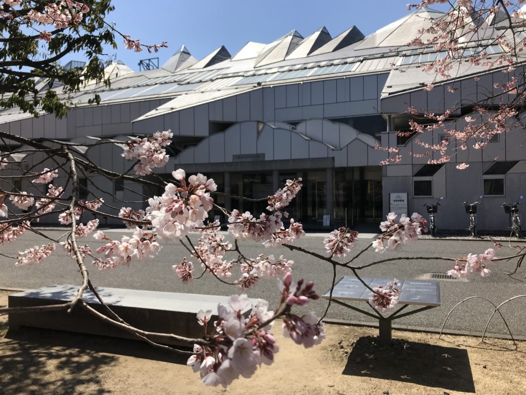 飯田美術博物館 桜の季節(安富桜)