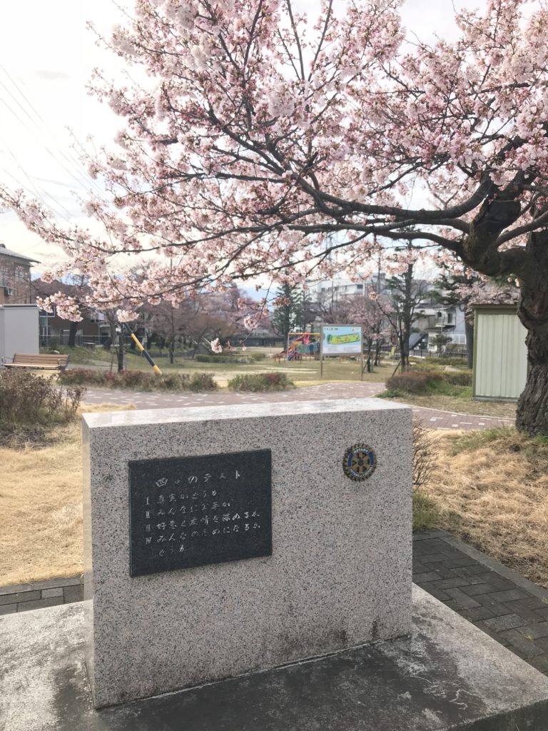 飯田市 中央公園（吾妻）桜