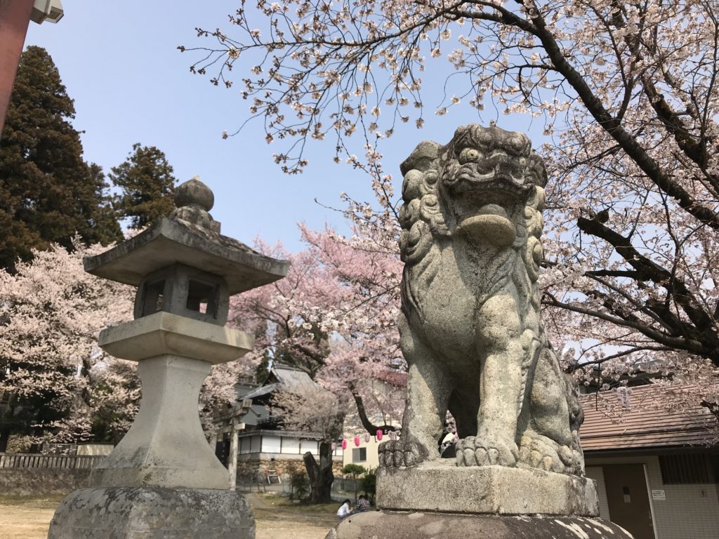 飯田市 桜並木 さくら祭り・大宮諏訪神社 桜
