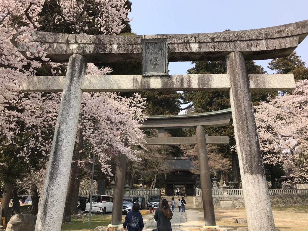 飯田市 桜並木 さくら祭り・大宮諏訪神社 桜