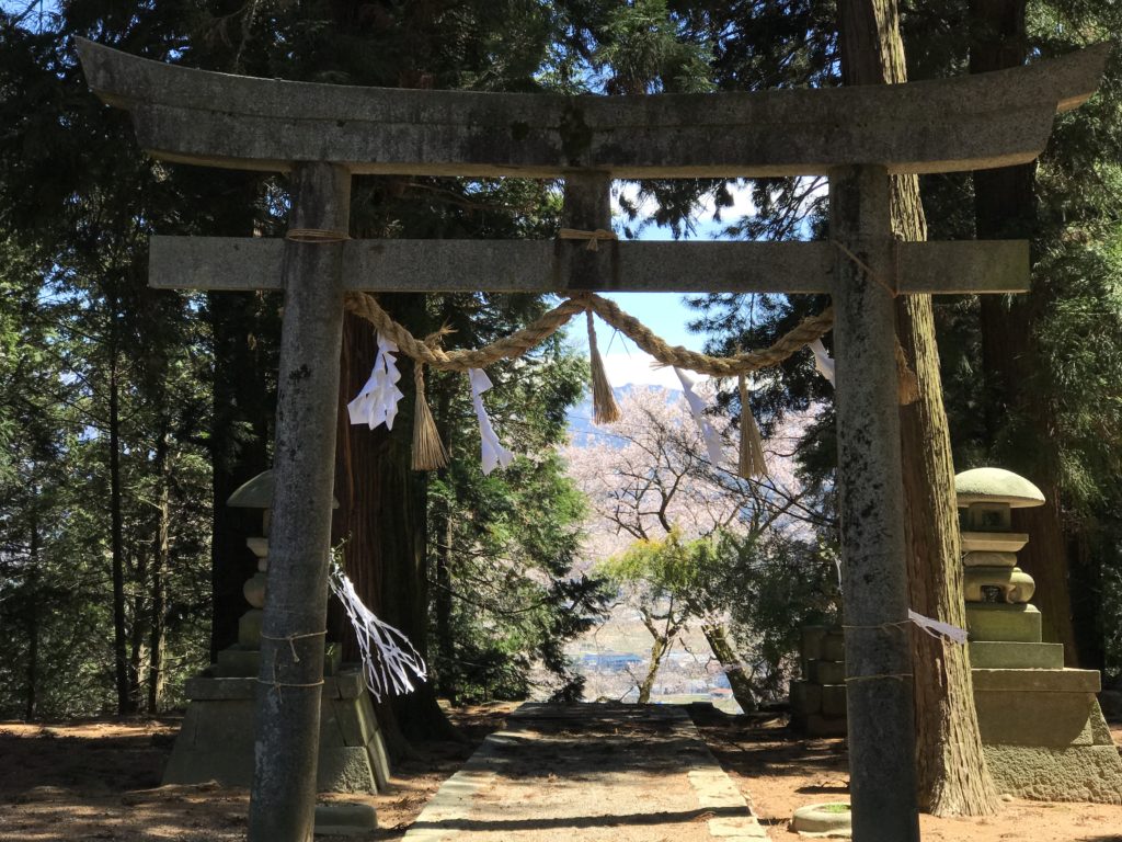 飯田市 飯沼神社 桜