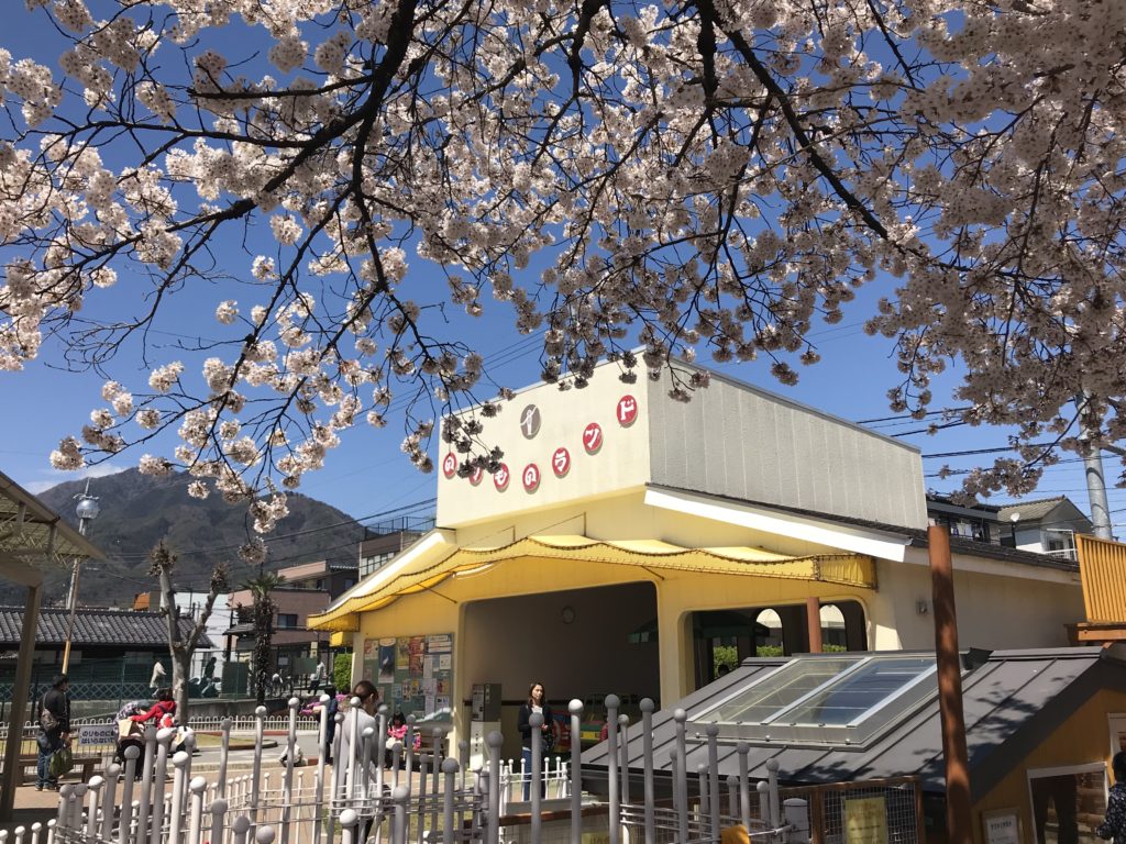 飯田動物園 桜