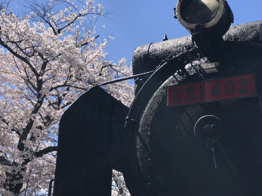 飯田市 D51と桜
