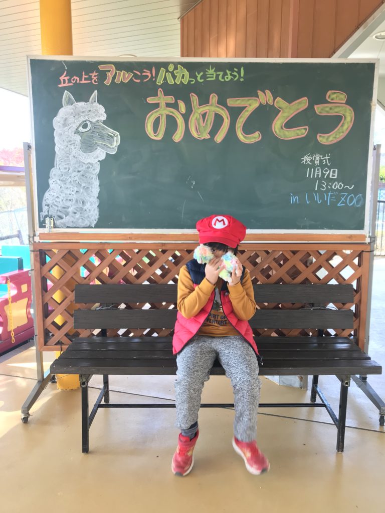 飯田動物園 アルパカ